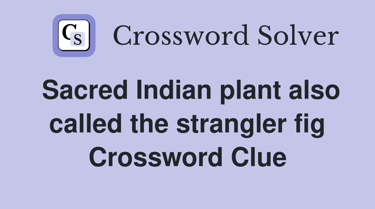 Sacred Indian plant also called the strangler fig Crossword Clue